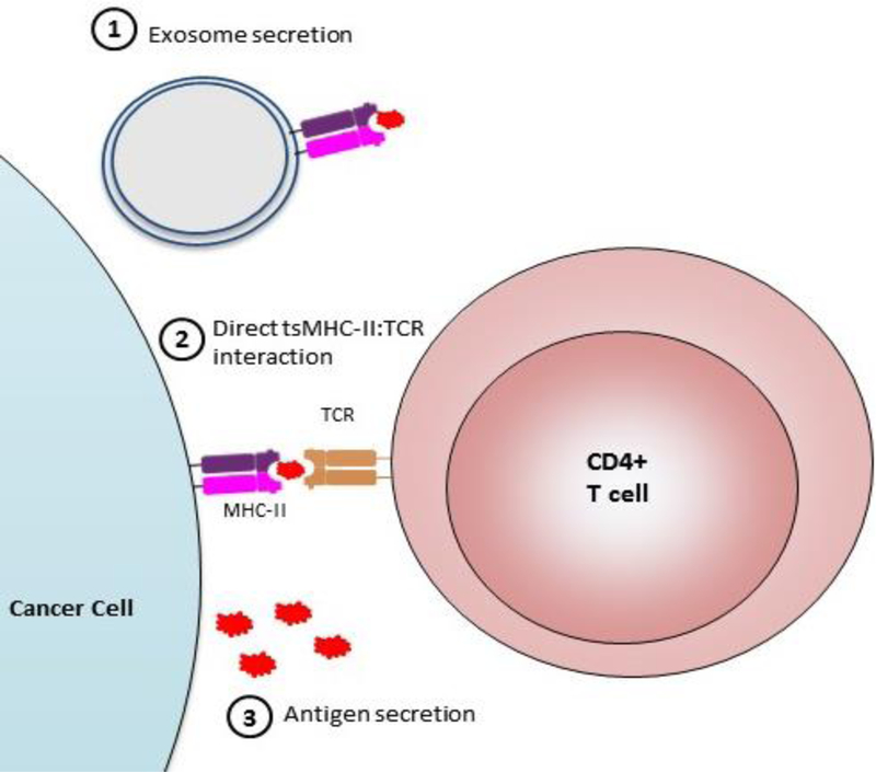 Figure 3: