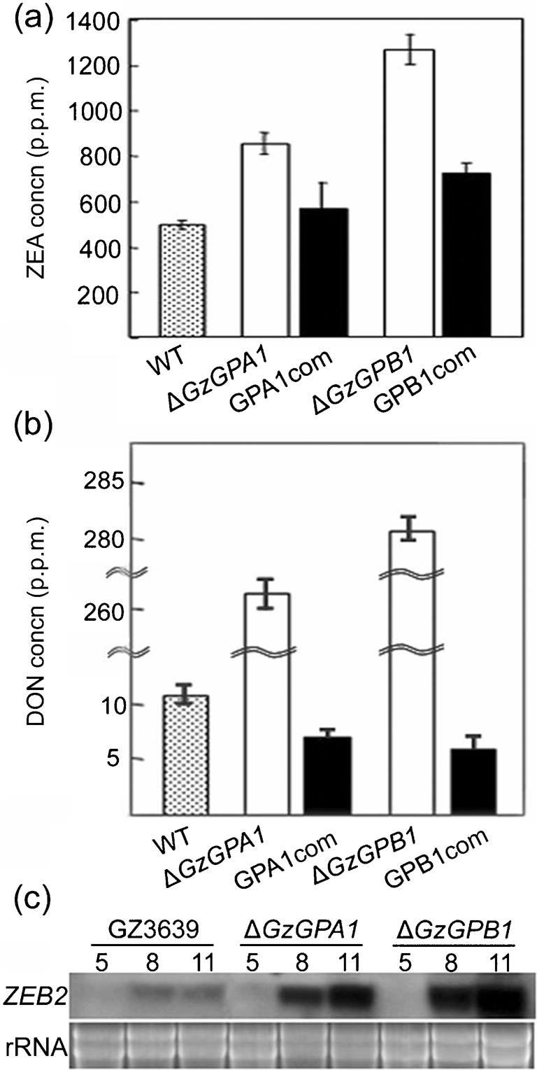 Fig. 6.