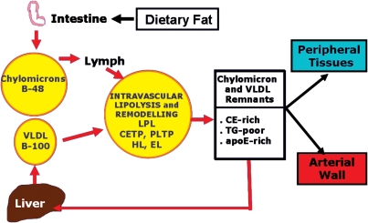 Figure 1