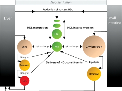 Figure 2