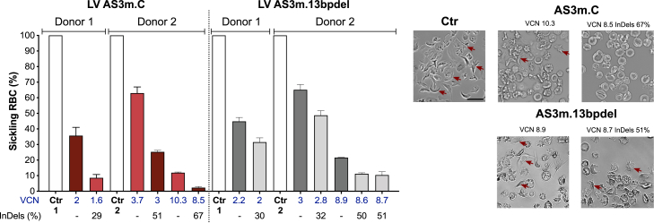 Figure 5