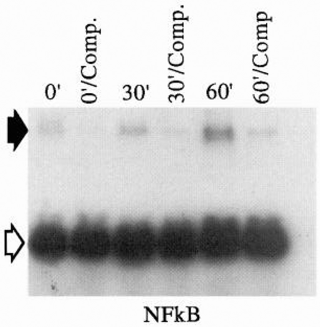 FIG. 13