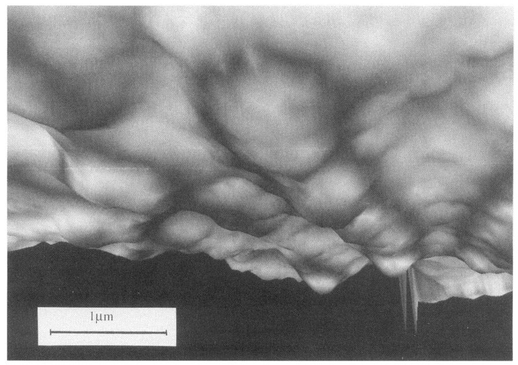 FIG. 8