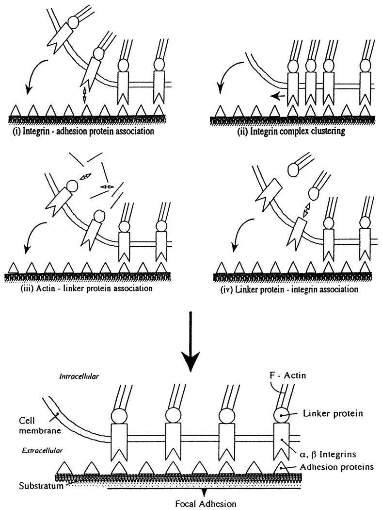 FIG. 10