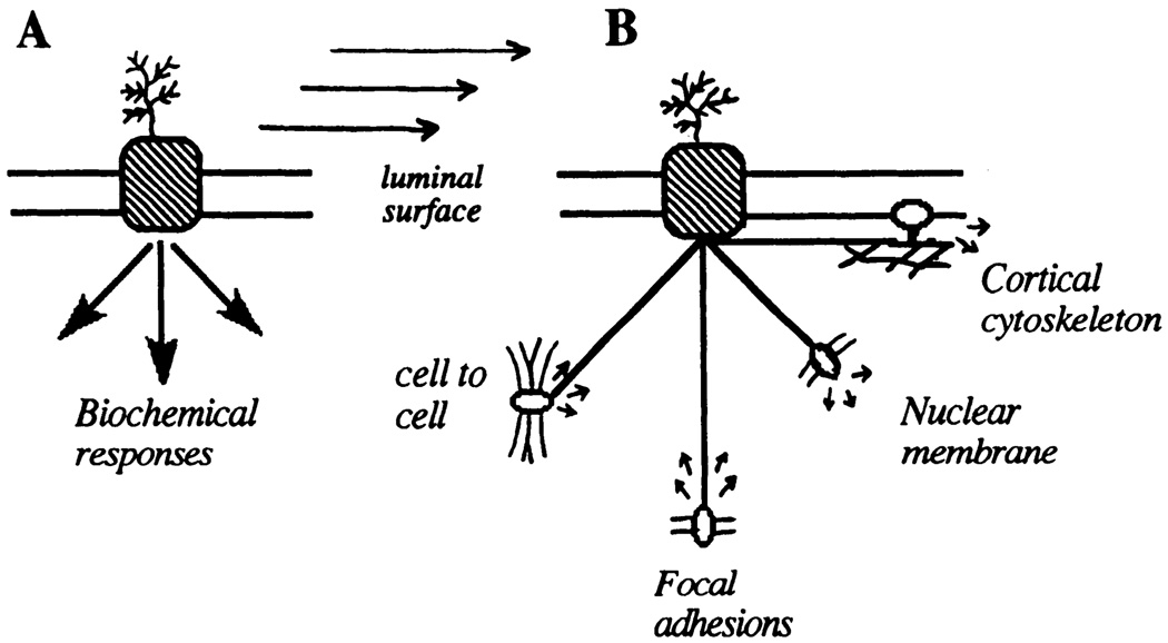 FIG. 7