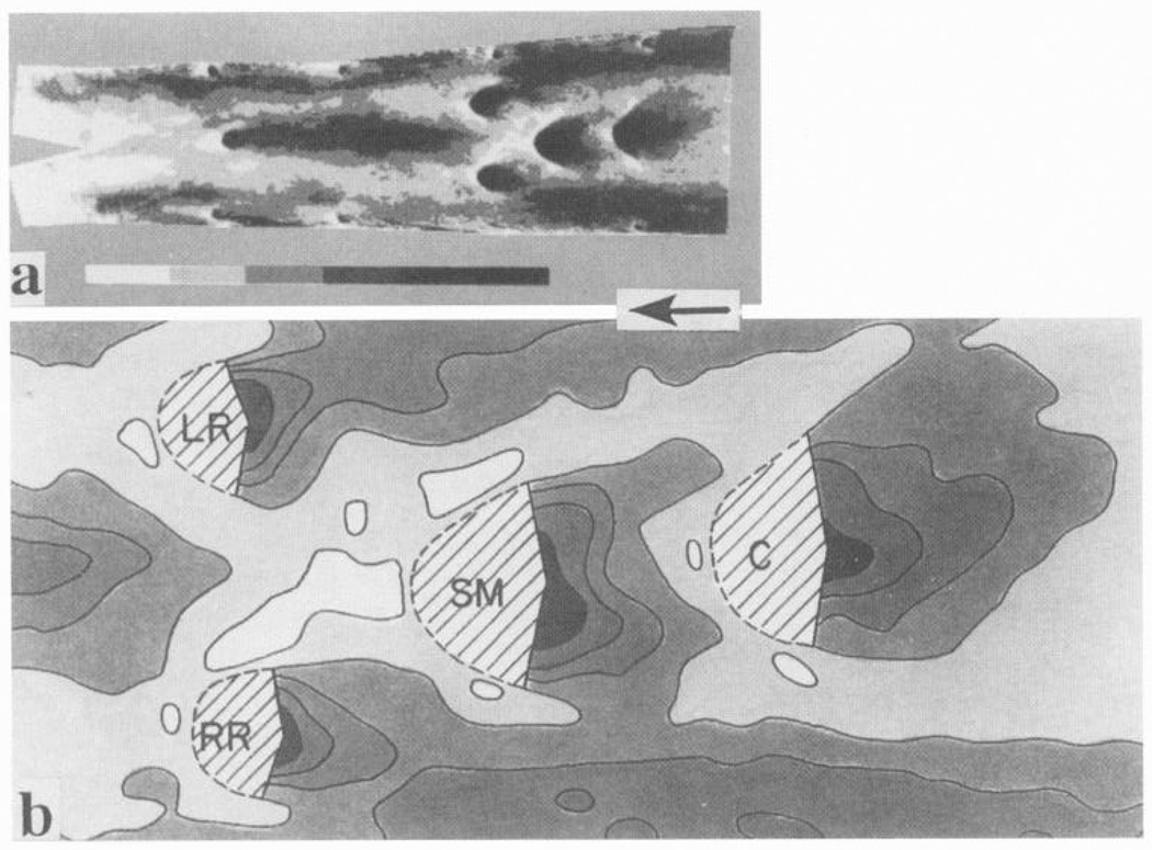 FIG. 15