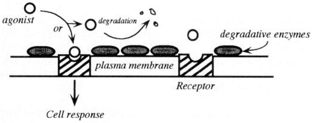 FIG. 11