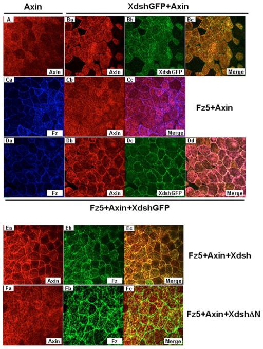 Fig. 4