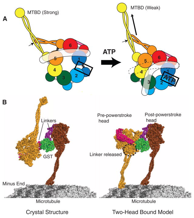 Fig. 6