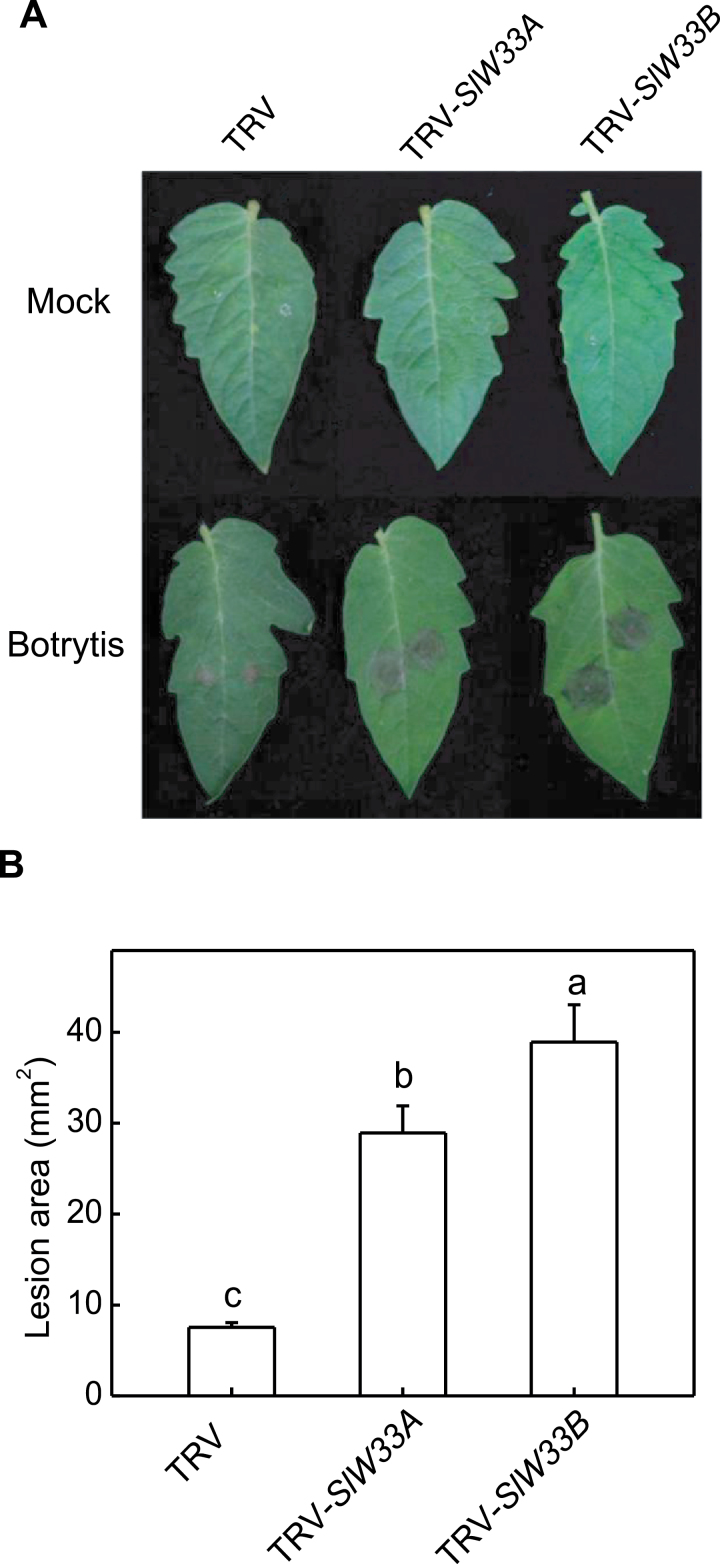 Fig. 10.