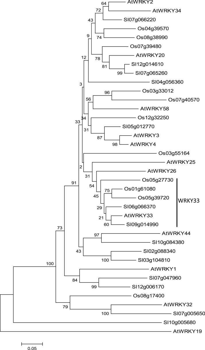 Fig. 8.