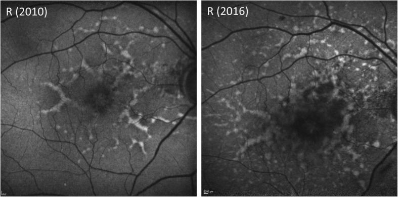 Fig. 8