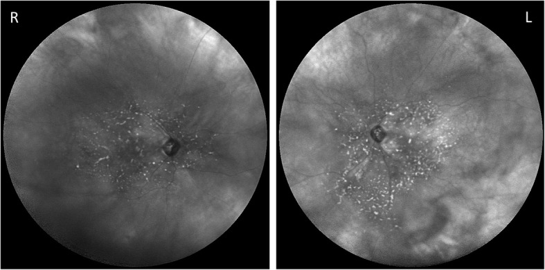 Fig. 7