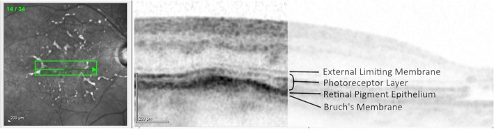 Fig. 5