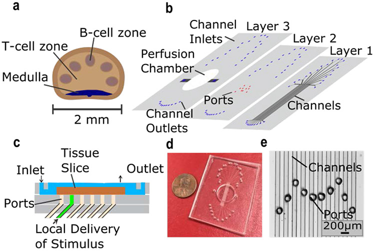 Figure 1: