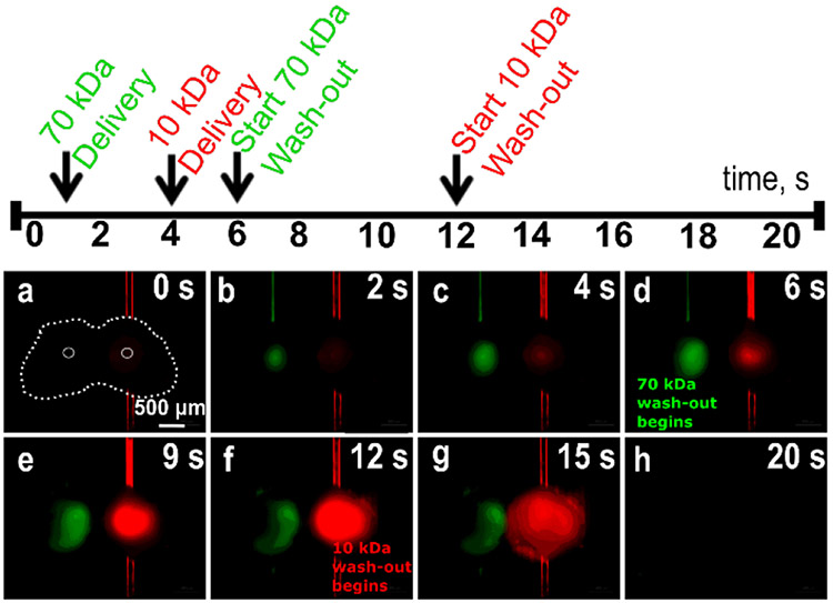 Figure 5: