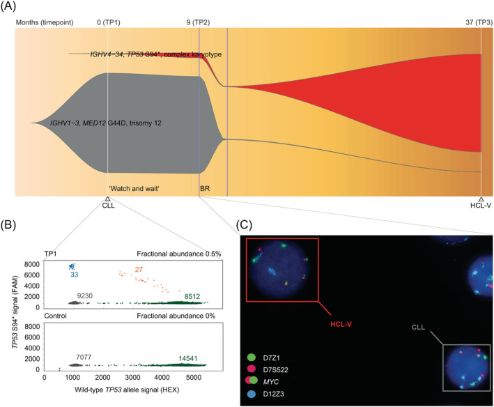 FIGURE 2