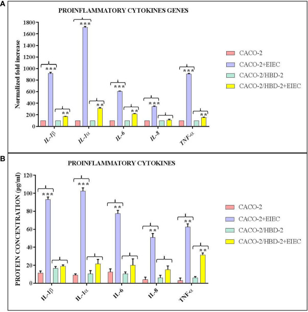 Figure 2