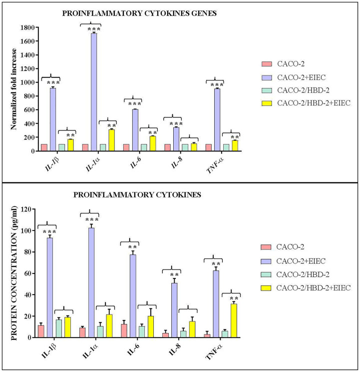 Figure 4