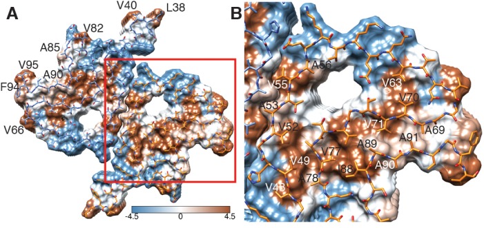 Figure 3.