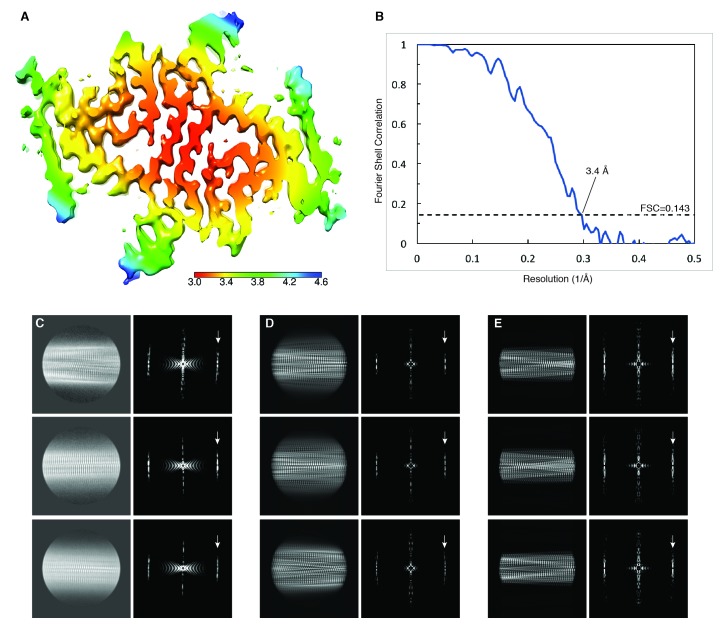 Figure 1—figure supplement 2.