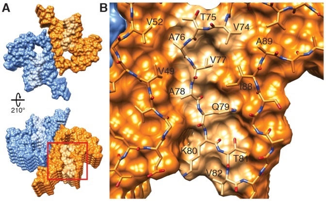 Figure 5.