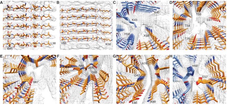 Figure 1—figure supplement 3.