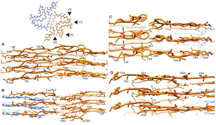 Figure 2—figure supplement 1.