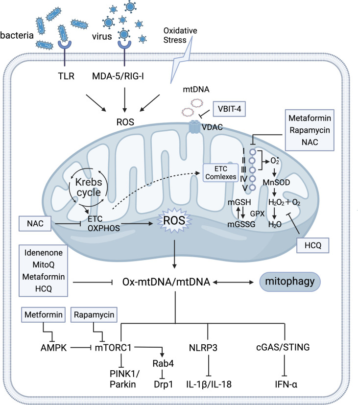 Figure 1