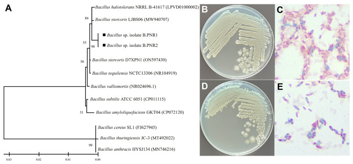 Fig. 4