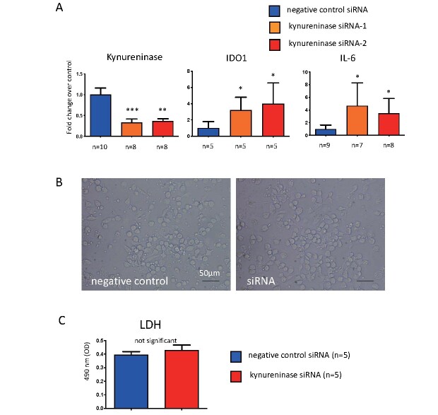 Supplementary Fig.3.