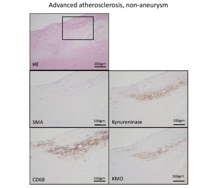 Supplementary Fig.2.