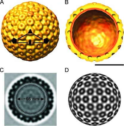 FIG. 4.