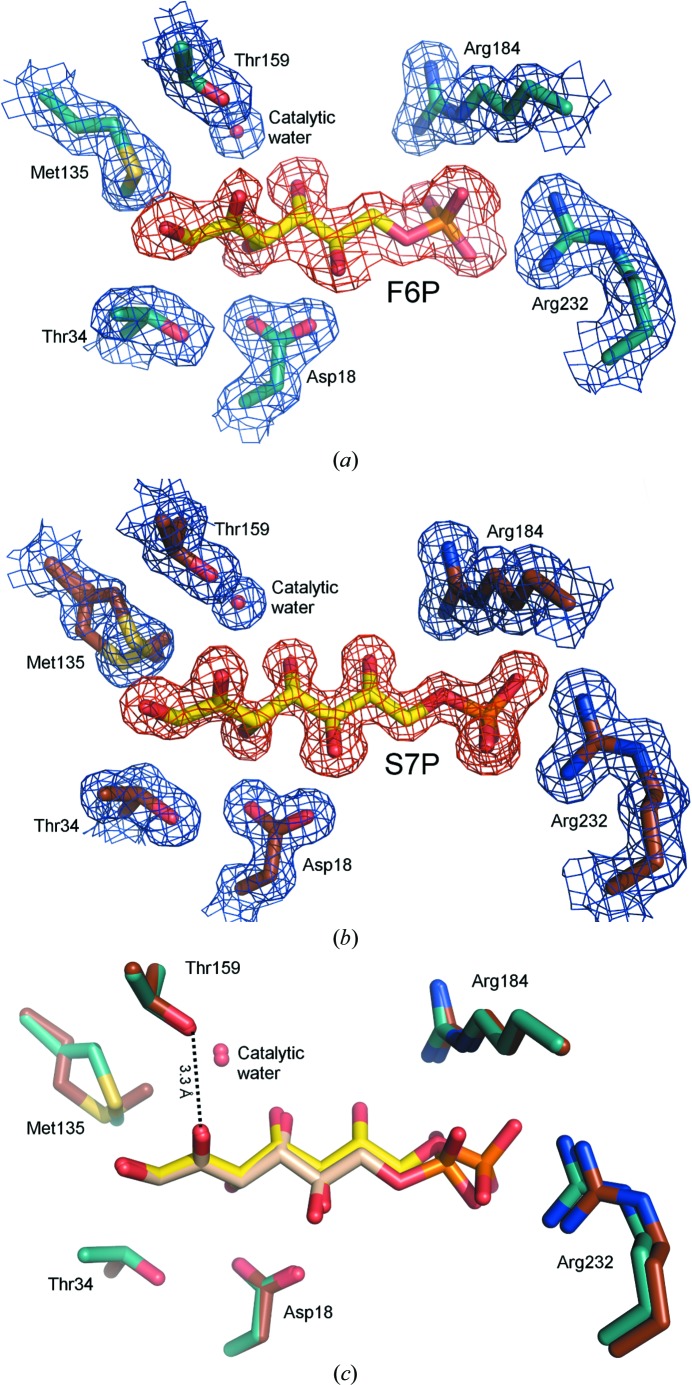 Figure 6