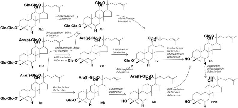 Fig. 2