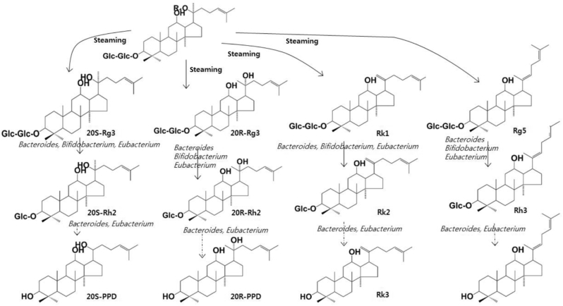 Fig. 3