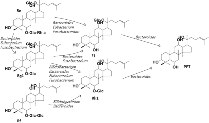 Fig. 4