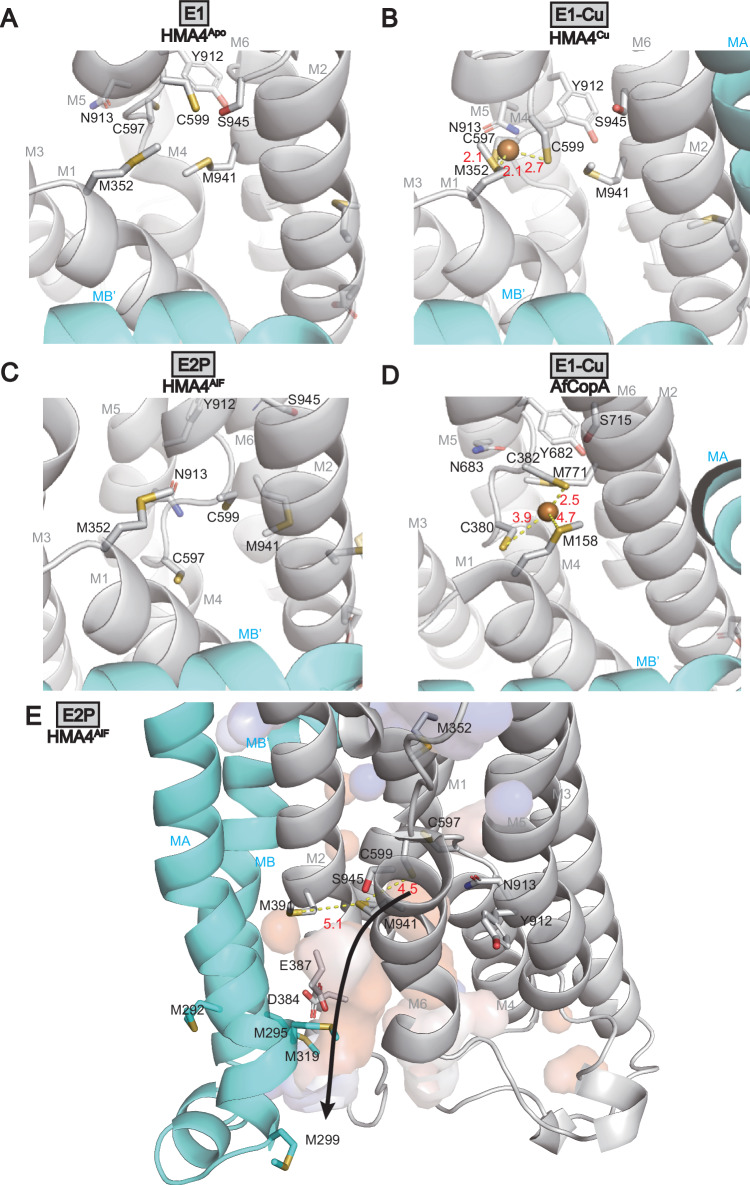 Fig. 4