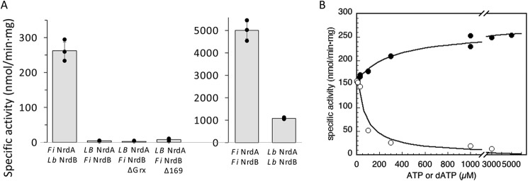 Figure 10.