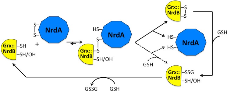 Figure 11.