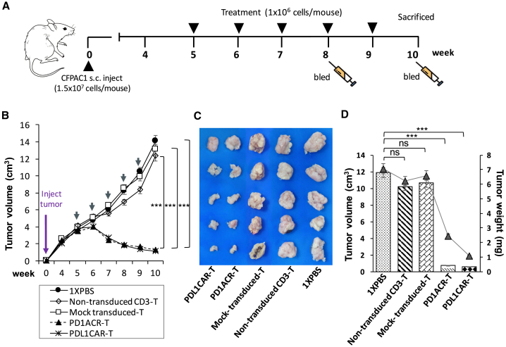 Figure 4