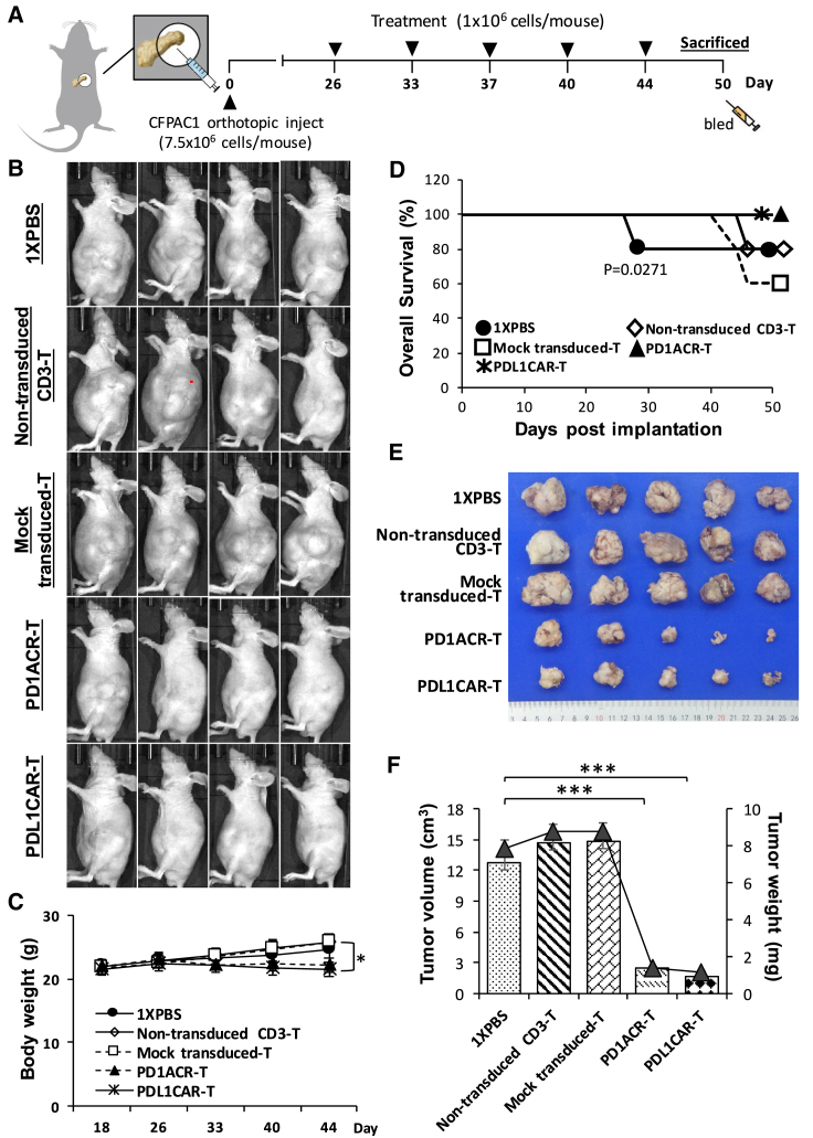 Figure 6