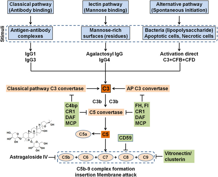 FIGURE 2