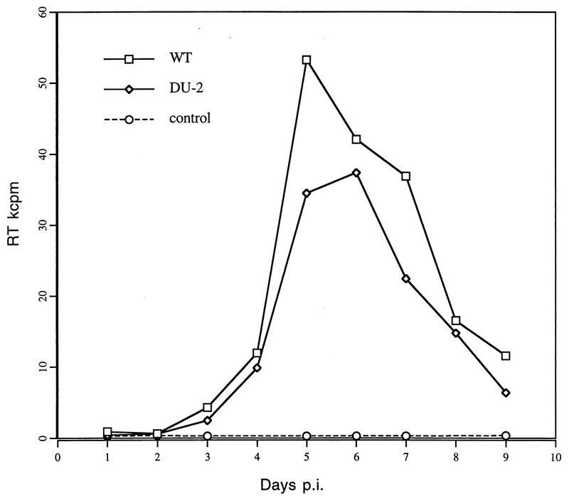 FIG. 1