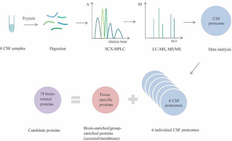 Fig. 1