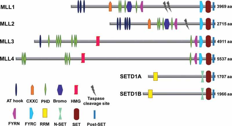 Figure 1.