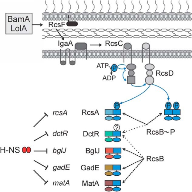 FIGURE 7.