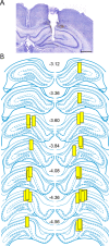 Figure 4—figure supplement 1.