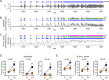 Figure 1—figure supplement 2.