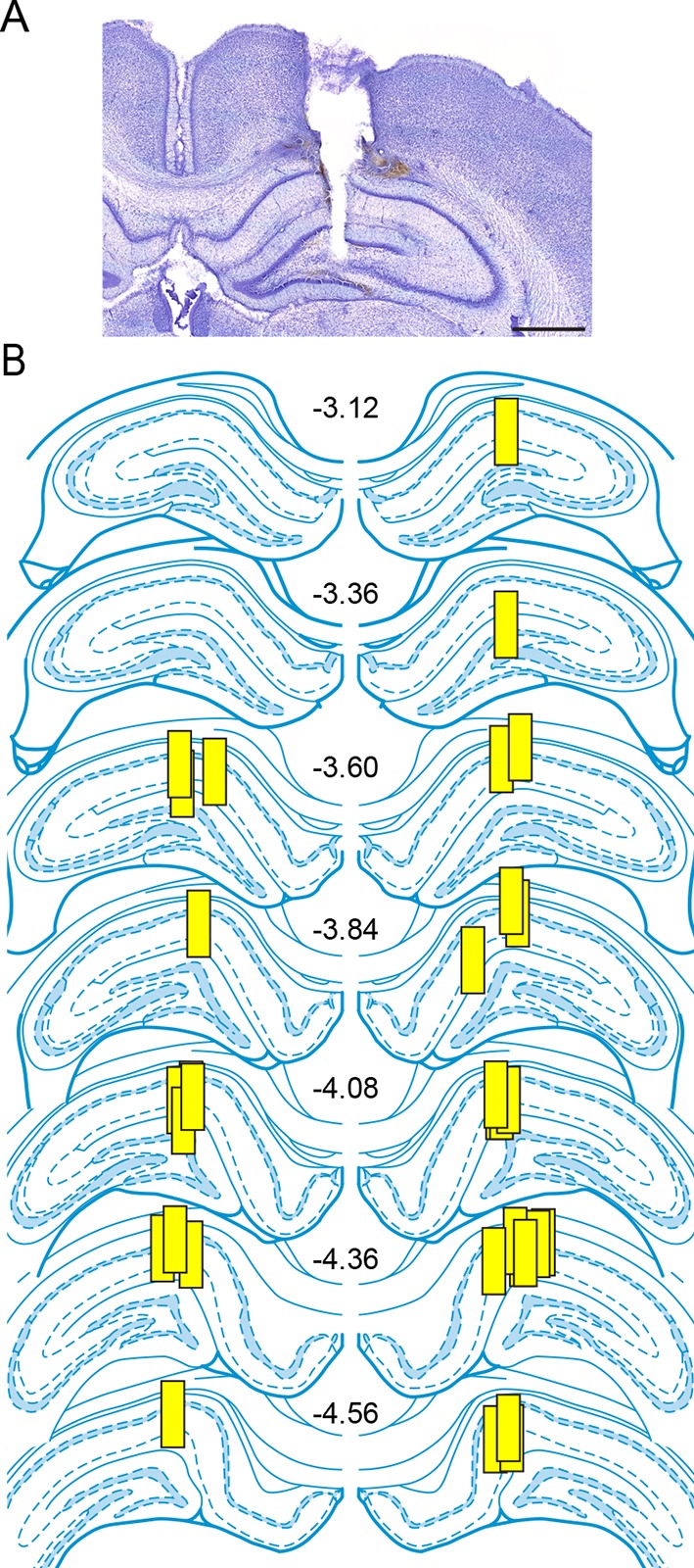 Figure 4—figure supplement 1.